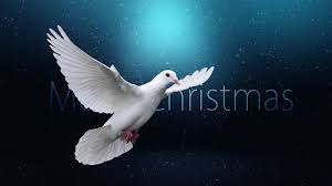 Pada kesempatan indah di hari natal itu, para tentara yang biasanya saling tembak berubah seratus. Natal Gencatan Senjata Burung Gambar Gratis Di Pixabay