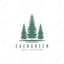The conventional view is that cedar produces a warmer, fuller, mellower sound, and spruce produces a sharper, brighter sound with more clarity. Evergreen Pines Spruce Cedar Trees Logo Design Royalty Free Cliparts Vectors And Stock Illustration Image 140815149