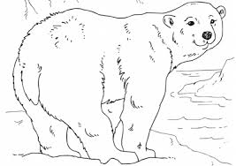 Printable coloring and activity pages are one way to keep the kids happy (or at least occupie. Mr Nussbaum Arctic Animals Coloring Activity Bundle