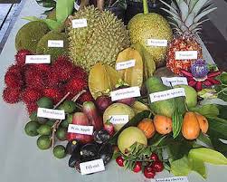 Les Fruits Et Legumes Locaux Location Guadeloupe