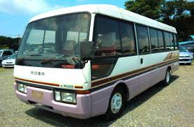 Image result for Maerua bussei