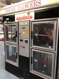 A complete list of the best 24 hour restaurants in las vegas. A List Celebrity Spotted In Las Vegas 90dayfiance