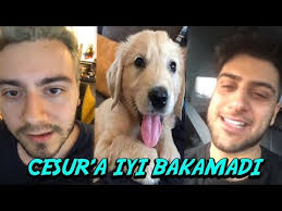 Enes Batur Reynmen Kavgasi Enes Baturun Kusu Oldu Yeni Gelismeler