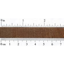 Dark Red Meranti The Wood Database Lumber Identification