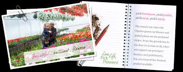 Typically cut flower growers only produce cut flowers and specialise in one or two crops. Pick Ontario Locally Grown Flowers In Ontario Pick Ontario