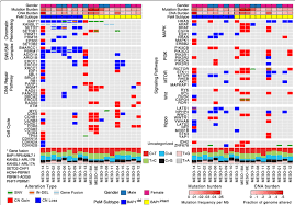 Malignant peritoneal mesothelioma is the second most common form of mesothelioma and occurs other risk factors involved include family history and genetics and radiation therapy to the abdomen. Integrated Molecular Comparison Of Somatic Alterations Across Download Scientific Diagram