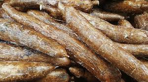 Dapatkan harga singkong termurah di halaman jual singkong agromaret. Cara Membuat Keripik Singkong Renyah Dan Gurih Bikin Ketagihan Lifestyle Liputan6 Com