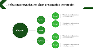 organization chart presentation powerpoint one to many