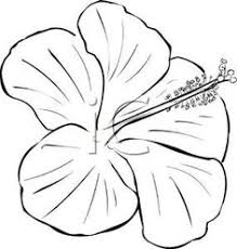 Black And White Clipart Images Of Flowers Clipart Flower Black And White Image 34630 Flower Drawing Design Hibiscus Drawing Flower Drawing