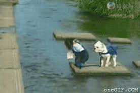 Weitere ideen zu lustige tiere, süße tiere, lustige bilder. Dreamies De Zmju3s2zq4l Gif