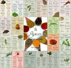 herbs and spices natureinfographics