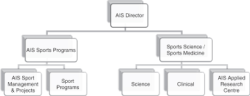 Sage Reference Organizational Structure