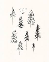 Pines Of Poland Tree Tattoo Small Pine Tattoo Simple Tree Tattoo