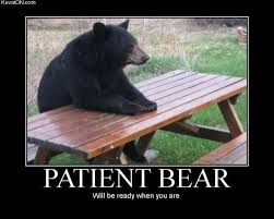 Question What Kind Of Bear Is Best Talk Tennis