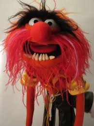 Animal Constructed From Foam Feathers Vinyl And Polar Fleece All Components Made And Assembled By Myself D Animal Muppet The Muppets Characters Muppets