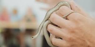 Critter Encounter: Snakes
