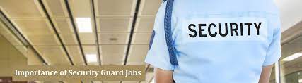 The Importance Of Security Guard Jobs In India Security Guard Jobs Security Guard Job