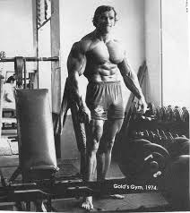Arnold schwarzenegger conquer wallpaper hd. Arnold Schwarzenegger 1080p 2k 4k 5k Hd Wallpapers Free Download Wallpaper Flare