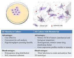Good reasons to know your strengths and weakness. Strengths And Weaknesses Of 2d And 3d In Vitro Culture Cells In 2d Download Scientific Diagram