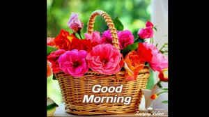 Every new day is a gift. Good Morning Whatsapp Gift Youtube