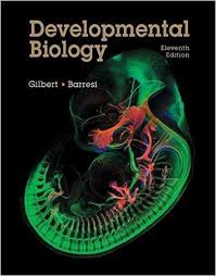 Developmental Biology 571 8 G46d Biology Online Pdf Books Biology