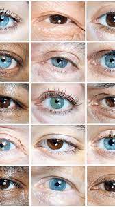 Free shipping for order $75 or more 2021 Lavazza Calendar