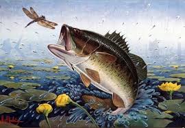 Find the cool backgrounds for your phone, desktop or website. Free Cool Fishing Wallpaper Cool Fishing Wallpaper Download Wallpaperuse 1