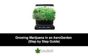 Manuals and user guides for aerogarden pro200. Growing Marijuana In An Aerogarden Step By Step Guide Mediafi