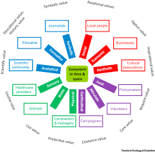 Beyond Ecosystem Services Valuing The Invaluable Trends In Ecology Evolution