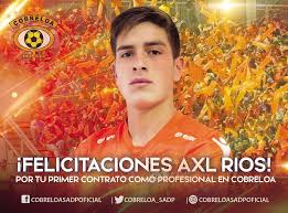 #todosporcobreloa #dalecobreloa @ estadio zorros del desierto. Cobreloa Guillefirpo Sigue Siendo Del Zorro Tambien Facebook