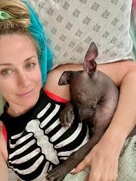 Hello, I wanted to introduce myself. I am a new member of the group😊