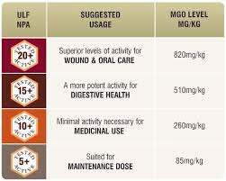 Raw Manuka Honey Certified Mgo 820 Npa 20 Highest Grade Medicinal Strength Manuka With Antibacterial Activity 250g By Good Natured
