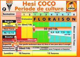 Hesi Tnt Growth Complex For Soil And Coco 1l