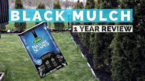 The natural recovered forest product helps conserve soil moisture, moderate soil temperature and prevent weeds naturally. Scotts Natures Scapes Mulch Classic Black Long Term Review 12 Month Test Youtube
