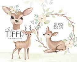 Watercolor Deer Baby Deer Clipart Watercolor Little Animals Cute Deer Baby Shower Clip Art Mother Deer Illustration Nursery Graphics Deer Illustration Watercolor Deer Baby Deer