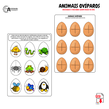 Kit conhecendo sobre os animais - Criatividade Pedagógica