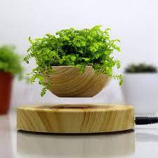 Magic Air Floating Plant Pot Floating Plants Flower Pots Plants