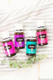 A natural insect repellent is superior by far to the chemical derivatives that exist on the commercial market. Essential Oils As Mosquito Repellent Don T Waste The Crumbs