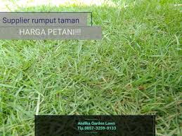 Jl cibaduyut raya no 68 ,bandung,jawa barat. Harga Rumput Makam By Hargarumputstadion On Deviantart