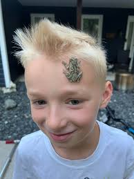 Cody Coyer (@coyote_auto_and_cycle_) • Instagram photos and videos