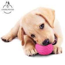 Jun 12, 2018 · be mindful of your dog's strength and temperament when choosing the right boredom busters. Airsspu Interactive Dog Toy Food Dispenser Ball Toy For Small Medium Large Dogs Durable Chew Ball Boredom Puzzle T Dog Toys Interactive Dog Toys Dog Toy Ball