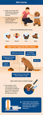 It affects people of all races, genders and ages, which is why it's absolutely critical for americans to learn about. Most Common Canine Cancers Canna Pet