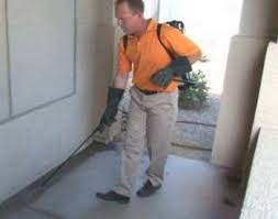 Pest control in south usery park area. Irish Pest Control And Termite Service Surprise Arizona