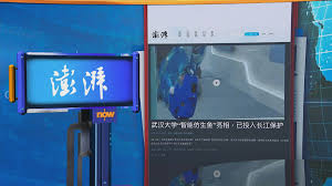 世味天下｜武漢大學智能仿生魚投入長江生態監測任務| Now 新聞