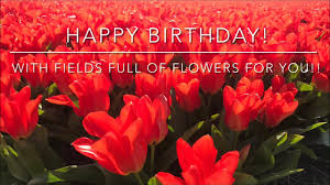 Download and use 80,000+ happy stock photos for free. Happy Birthday To You Here Is A Present For You A Beautiful Flower For A Beautiful Flower Youtube