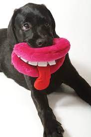 Pin On Puppies