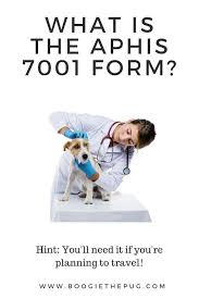 Pet travel can help you prepare your pet for domestic or internationl travel. What Is The Aphis 7001 Form Pet Travel Cat Travel Flying With Pets