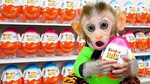 Monkey Agnes go shopping Kinder Joy Eggs at store and get trouble in the  toilet