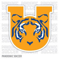 tigres uanl mexico vinyl sticker decal calcomania vinyl sticker stickers vinyl