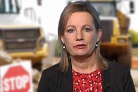 Sussan Ley's latest koala plan is a national disaster